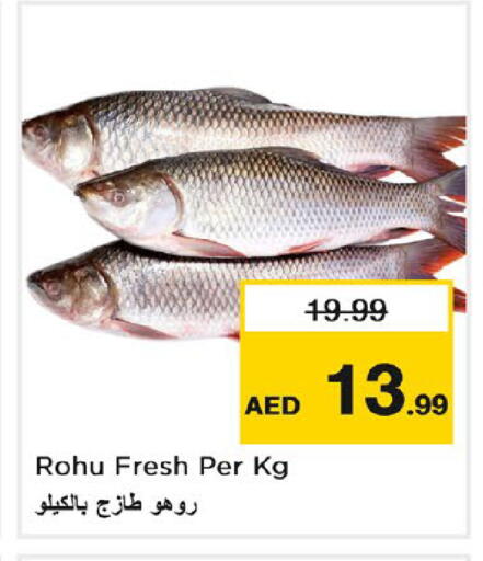 available at نستو هايبرماركت in الإمارات العربية المتحدة , الامارات - دبي