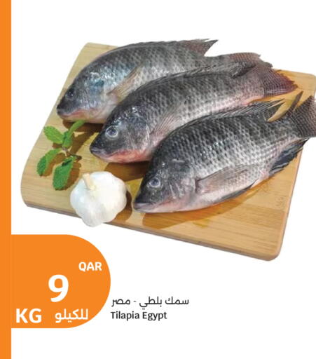 available at سيتي هايبرماركت in قطر - الخور