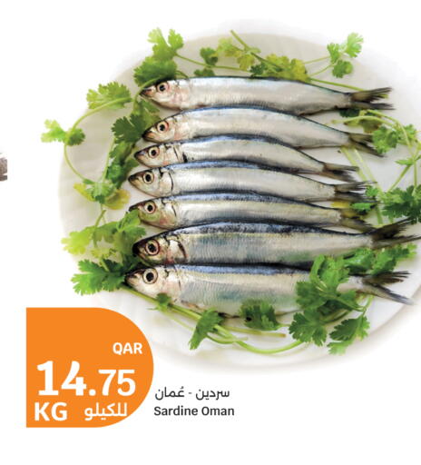 available at سيتي هايبرماركت in قطر - الخور