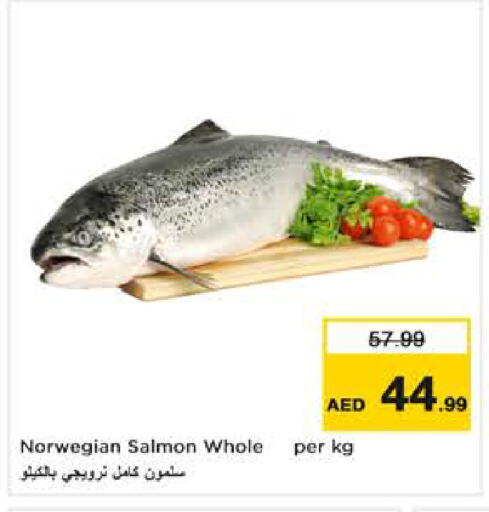 available at نستو هايبرماركت in الإمارات العربية المتحدة , الامارات - دبي