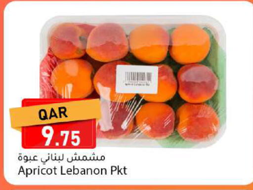 Apricot from Lebanon available at دانا ماركت in قطر - الريان