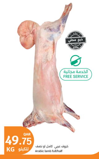 available at سيتي هايبرماركت in قطر - الخور