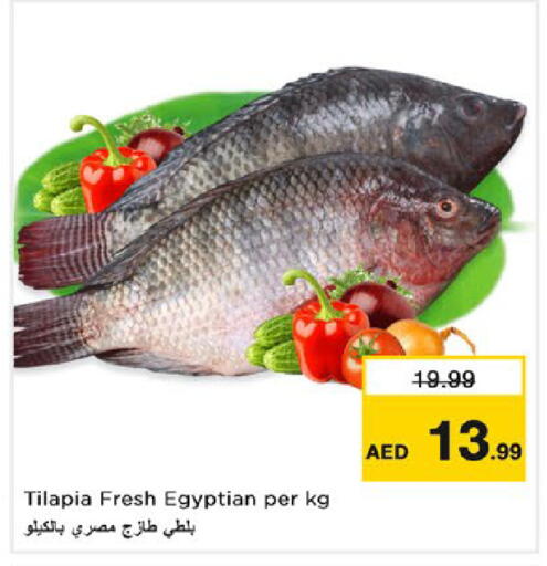 available at نستو هايبرماركت in الإمارات العربية المتحدة , الامارات - رَأْس ٱلْخَيْمَة