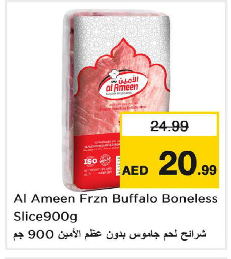 available at نستو هايبرماركت in الإمارات العربية المتحدة , الامارات - دبي