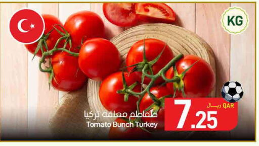 Tomato from Turkey available at ســبــار in قطر - الدوحة