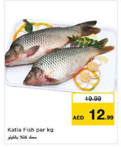 available at نستو هايبرماركت in الإمارات العربية المتحدة , الامارات - دبي