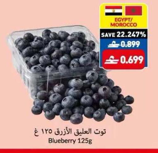 Blueberry BlueBerry from Egypt Morocco available at Makkah Hypermarket in Oman - Sohar
