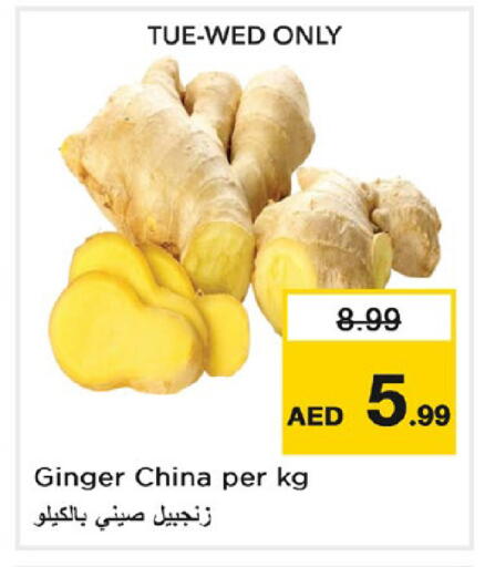 Ginger from China available at نستو هايبرماركت in الإمارات العربية المتحدة , الامارات - دبي