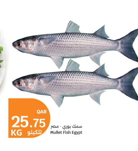 available at سيتي هايبرماركت in قطر - الخور