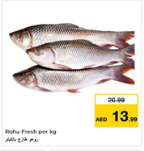 available at نستو هايبرماركت in الإمارات العربية المتحدة , الامارات - دبي