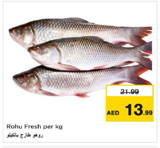 available at نستو هايبرماركت in الإمارات العربية المتحدة , الامارات - رَأْس ٱلْخَيْمَة