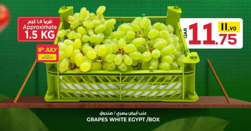 Grapes from Egypt available at Kenz Mini Mart in Qatar - Al-Shahaniya