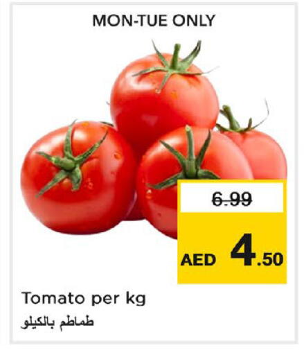 Tomato available at نستو هايبرماركت in الإمارات العربية المتحدة , الامارات - دبي