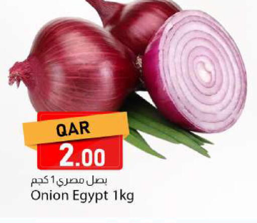 Onion from Egypt available at دانا ماركت in قطر - الريان