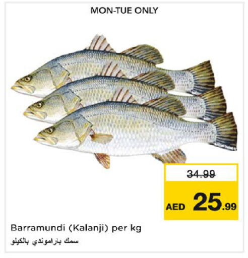 available at نستو هايبرماركت in الإمارات العربية المتحدة , الامارات - رَأْس ٱلْخَيْمَة