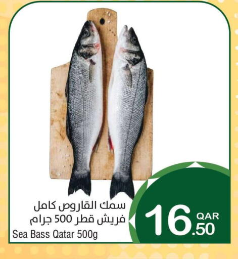available at ميغا مارت in قطر - الدوحة