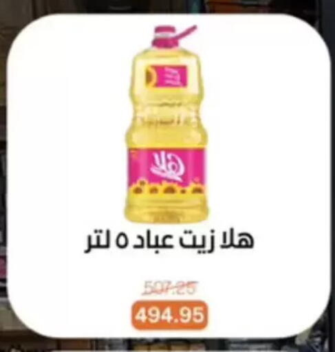 available at بيت الجملة in Egypt - القاهرة