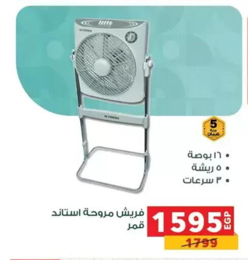 available at Panda  in Egypt - Cairo