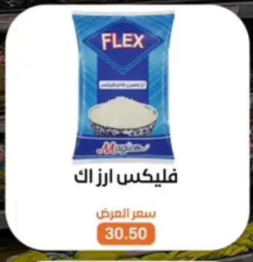 available at بيت الجملة in Egypt - القاهرة