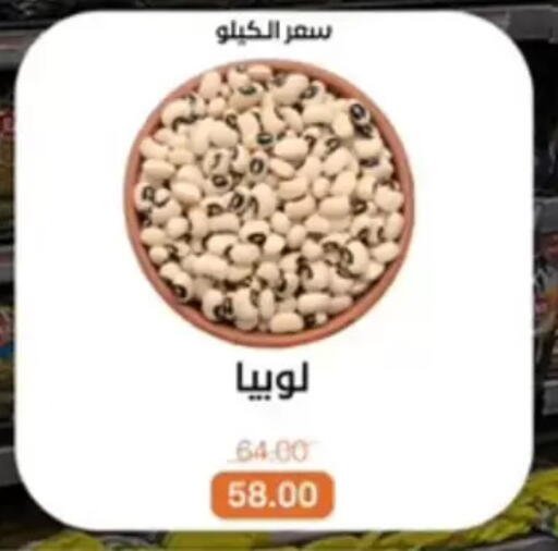 available at بيت الجملة in Egypt - القاهرة