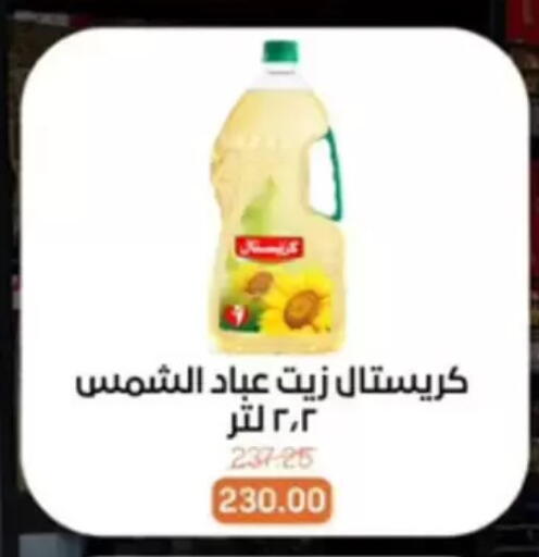 available at بيت الجملة in Egypt - القاهرة