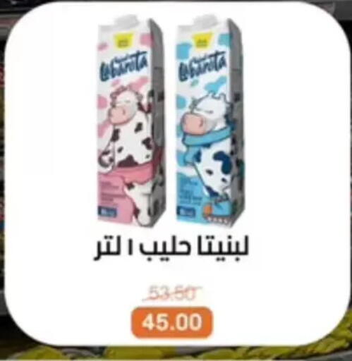 available at بيت الجملة in Egypt - القاهرة