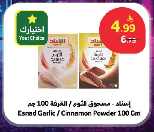 Garlic Cinnamon available at Al Raya in KSA, Saudi Arabia, Saudi - Jeddah
