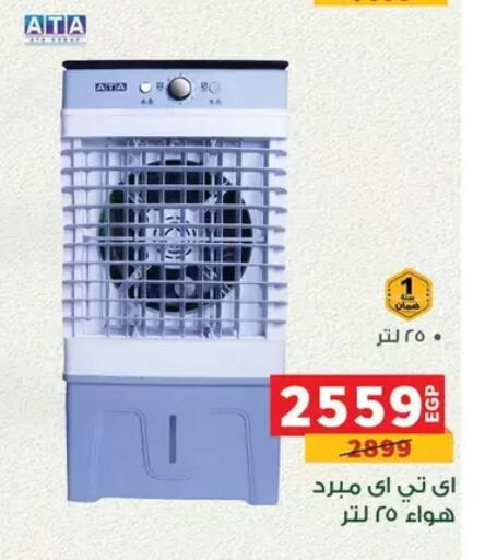 available at Panda  in Egypt - Cairo