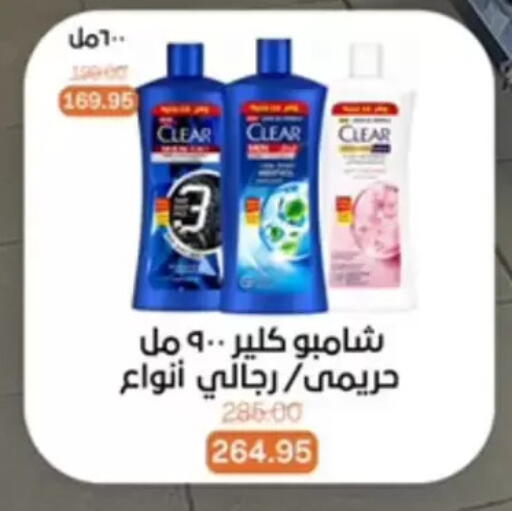 available at بيت الجملة in Egypt - القاهرة
