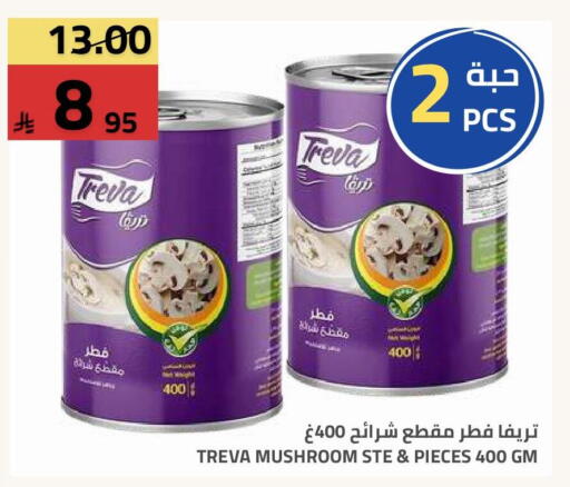 Mushroom available at Astra Markets in KSA, Saudi Arabia, Saudi - Tabuk
