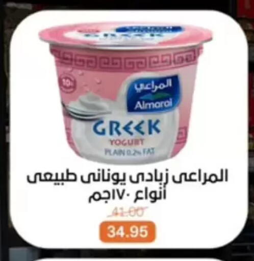 available at بيت الجملة in Egypt - القاهرة