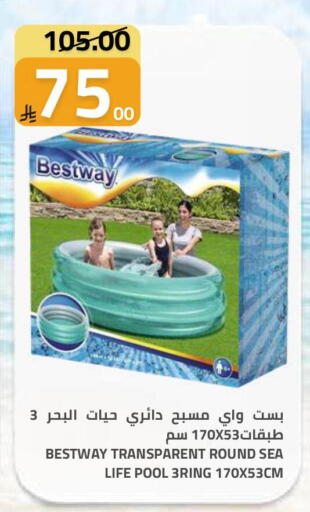 available at Astra Markets in KSA, Saudi Arabia, Saudi - Tabuk