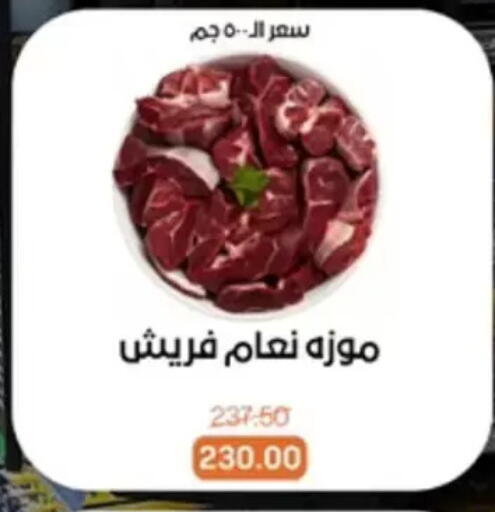 available at بيت الجملة in Egypt - القاهرة