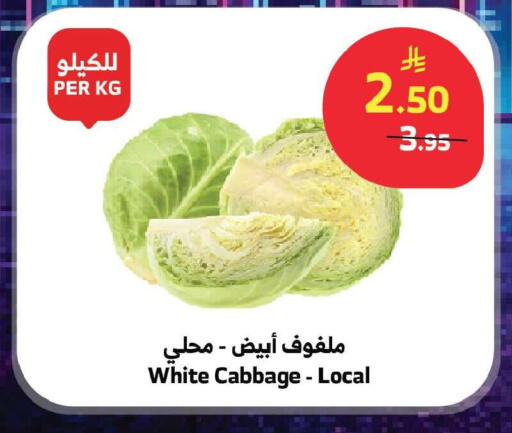 Cabbage available at Al Raya in KSA, Saudi Arabia, Saudi - Jeddah
