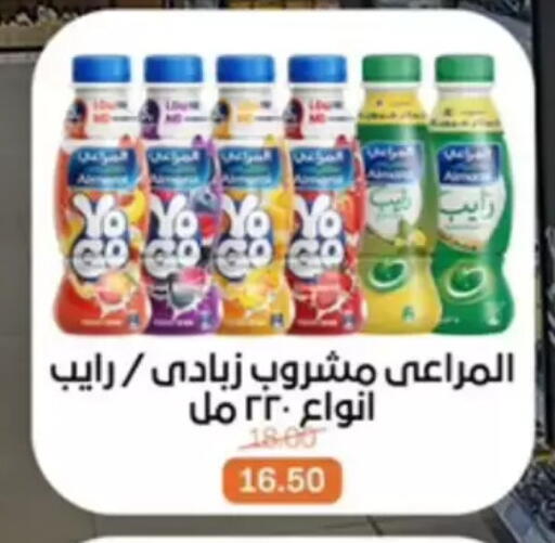 available at بيت الجملة in Egypt - القاهرة