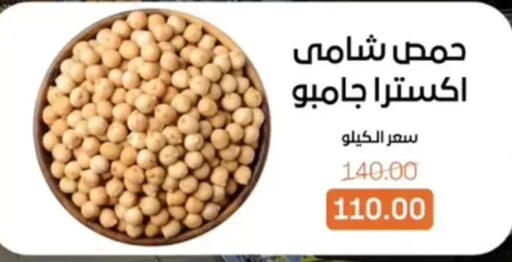 available at Beit El Gomla in Egypt - Cairo