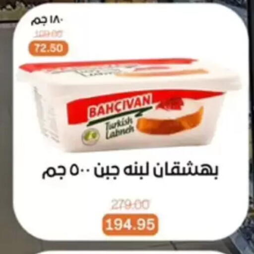 available at بيت الجملة in Egypt - القاهرة