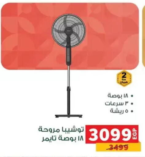 available at Panda  in Egypt - Cairo