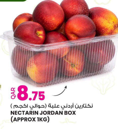 from Jordan available at أنصار جاليري in قطر - الوكرة