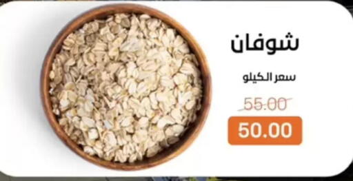 available at بيت الجملة in Egypt - القاهرة