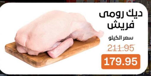 available at Beit El Gomla in Egypt - Cairo