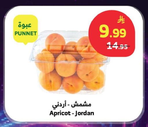 Apricot from Jordan available at Al Raya in KSA, Saudi Arabia, Saudi - Jeddah