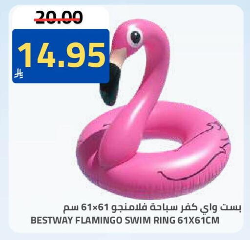 available at Astra Markets in KSA, Saudi Arabia, Saudi - Tabuk