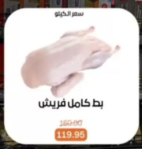 available at بيت الجملة in Egypt - القاهرة