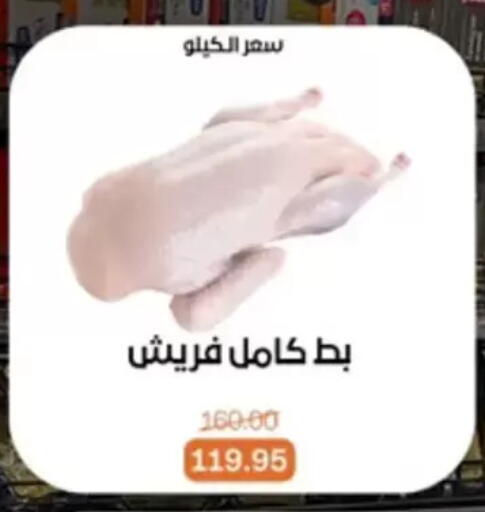 available at Beit El Gomla in Egypt - Cairo