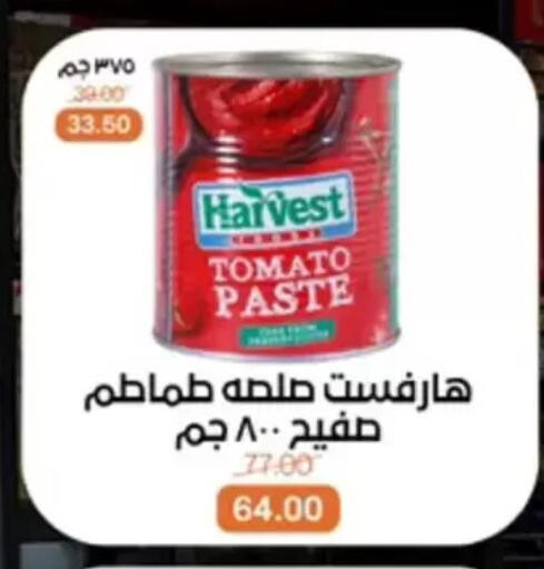 Tomato available at بيت الجملة in Egypt - القاهرة