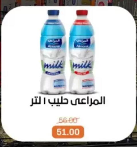 available at Beit El Gomla in Egypt - Cairo