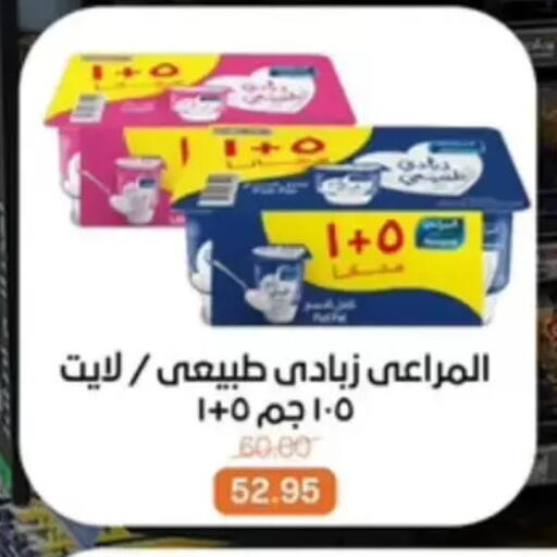 available at بيت الجملة in Egypt - القاهرة