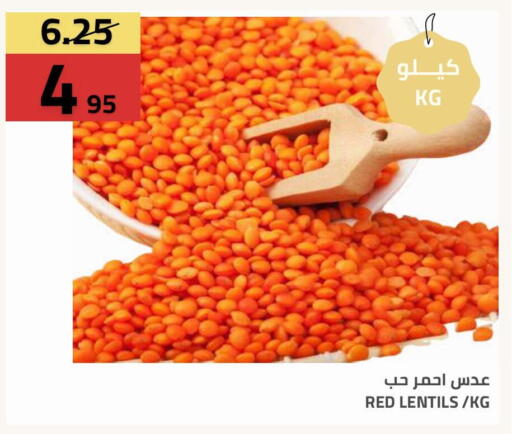 available at Astra Markets in KSA, Saudi Arabia, Saudi - Tabuk