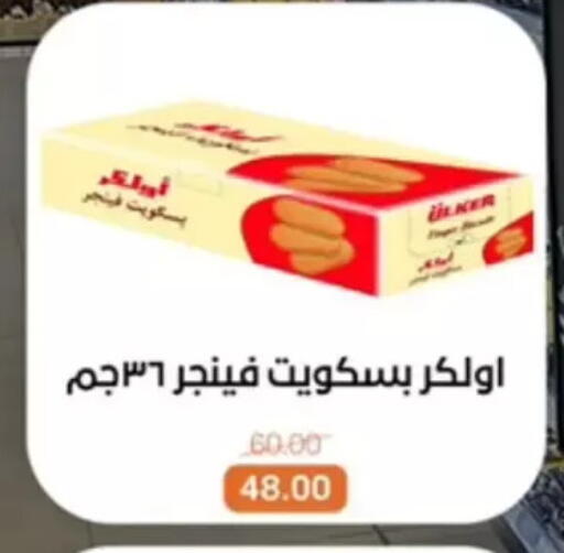 available at بيت الجملة in Egypt - القاهرة